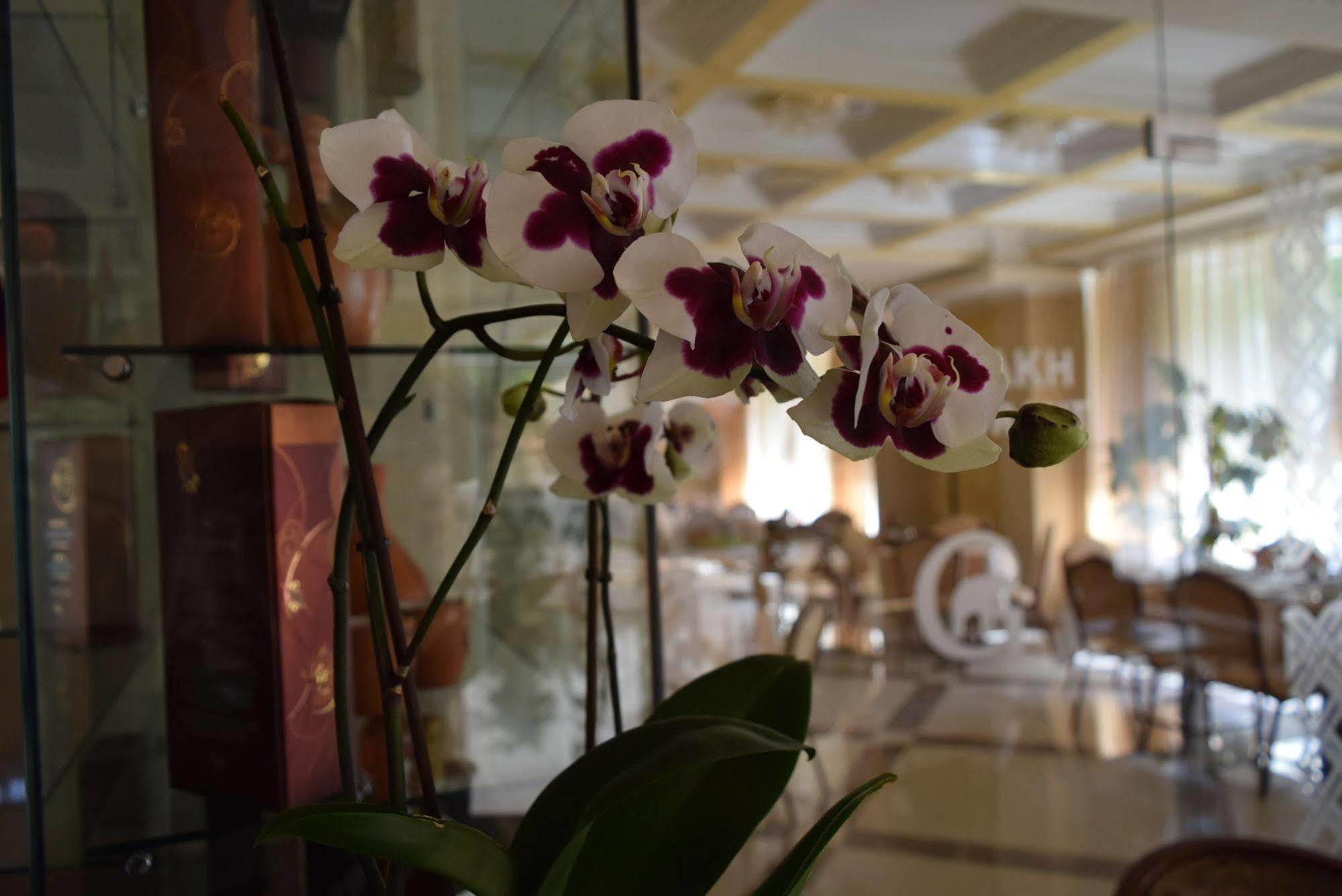 Artsakh Hotel 예레반 외부 사진